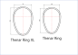 Preview: Scubaforce Thenar Ring-Set - XL Masse