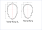 Preview: Scubaforce Thenar Ring-Set - XL Masse Preview: Scubaforce Thenar Ring-Set - XL Masse