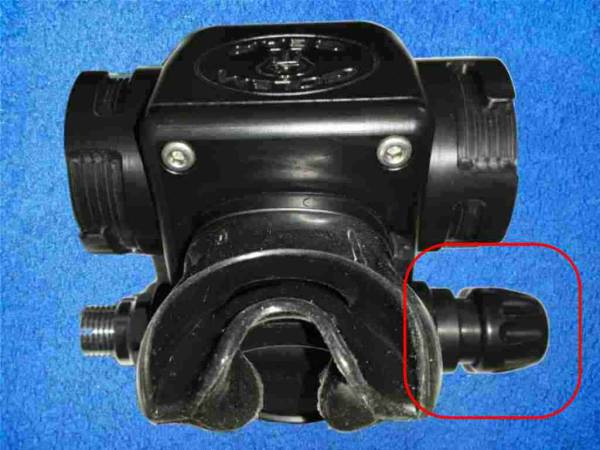 BOV Shrimp Golem Ventilkörper im Body, links