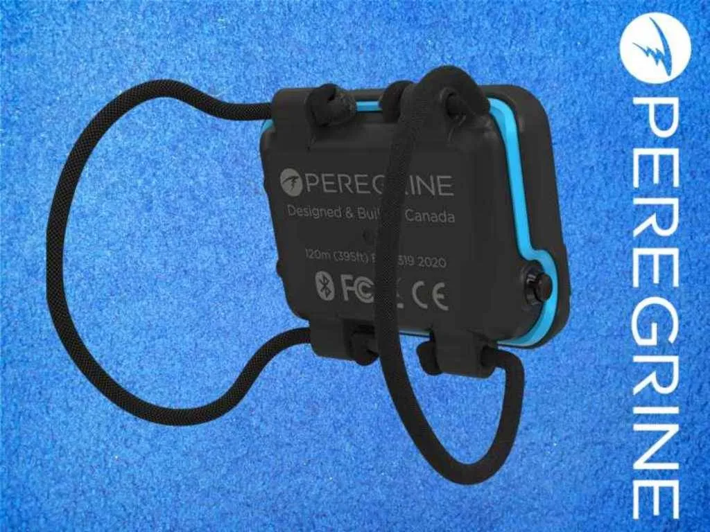 Shearwater Peregrine black bungee Shearwater Peregrine black bungee